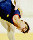 SCDw.gif (12534 bytes)