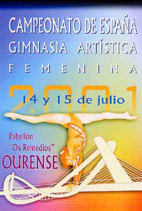 cartelcampeonato.jpg (14993 bytes)